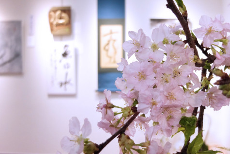 exhibition-201801-sakura